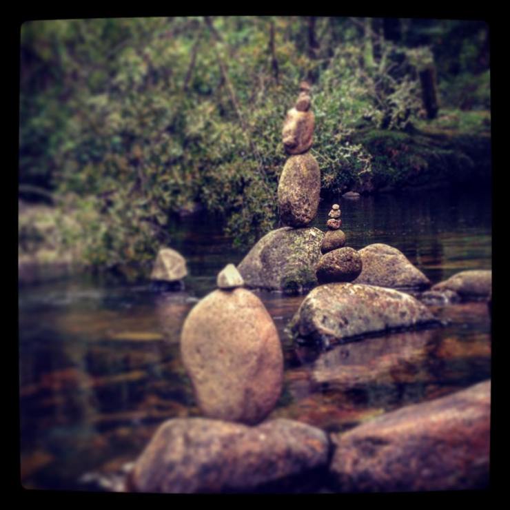 13768372_1143504432376837_946132130_n(1)